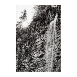 Shine On Acrylic Print