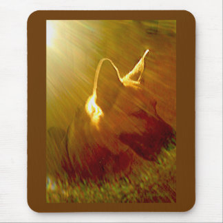 Shine On Me German Shepherd #1 Mouse Pad