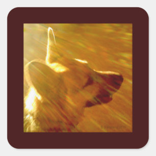 Shine On Me German Shepherd #2 Square Sticker