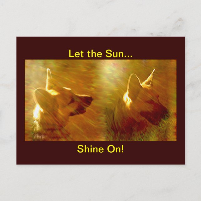 Shine On Me German Shepherd Postcard (Front)