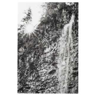 Shine On Metal Print