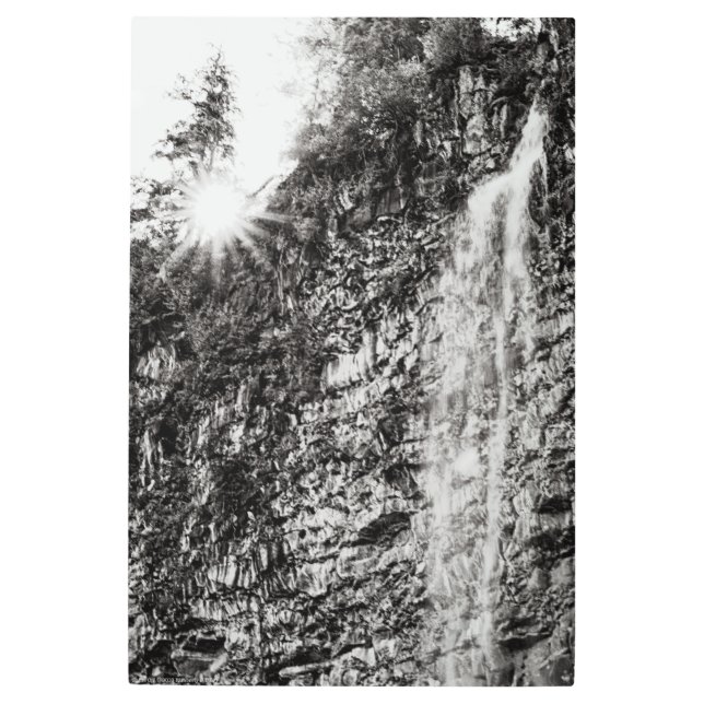 Shine On Metal Print (Front)