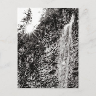 Shine On Postcard