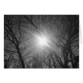 Shine Through - noir, card (Front Horizontal)