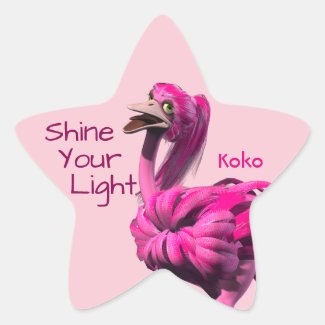 Shine Your Light Stickers
