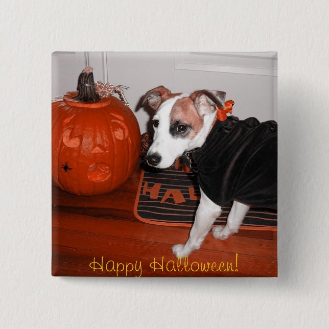 Shiner's Best Halloween Pinback Button (Front)