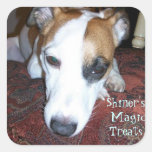 Shiner's Magic Treats Square Sticker