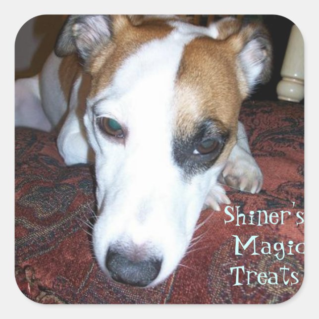 Shiner's Magic Treats Square Sticker (Front)