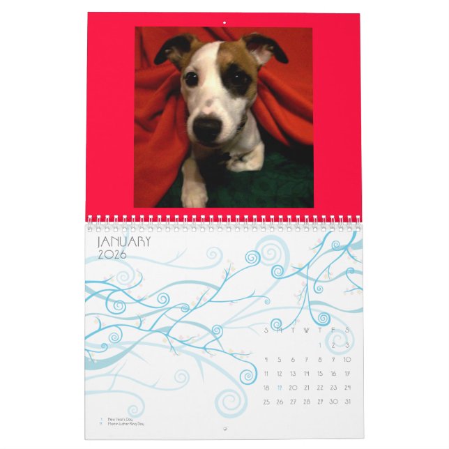 Shinese Calendar (Jan 2026)