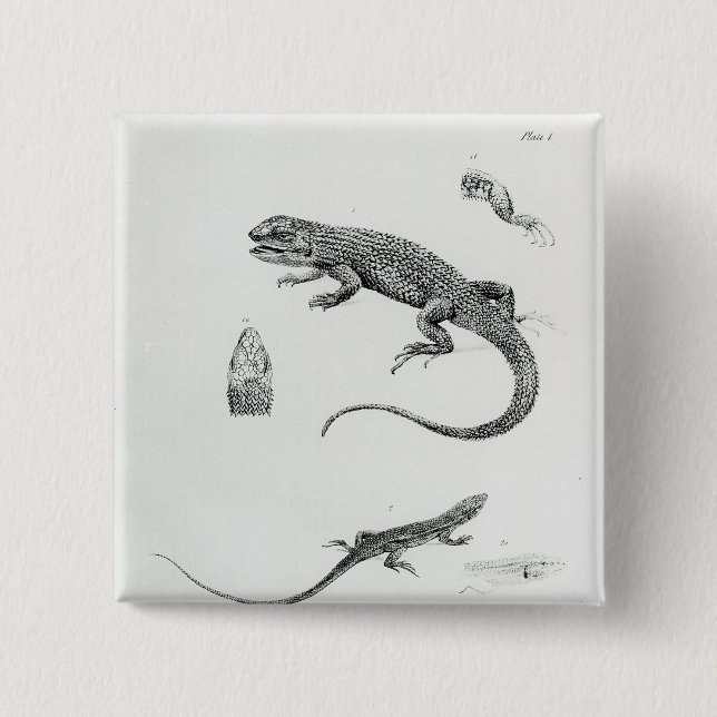 Shingled Iguana Button (Front)