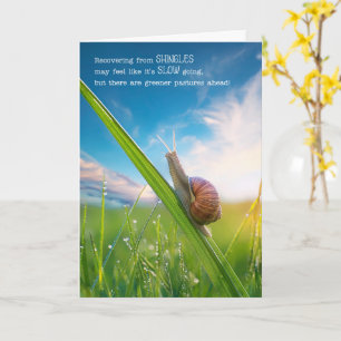 Shingles Get Well Snail Pace Greener Pastures Card