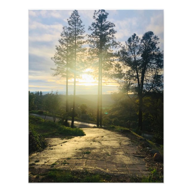Shining Hope Photo Print (Front)
