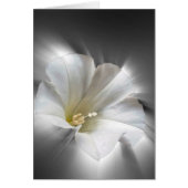 Shining in the dark (Front)