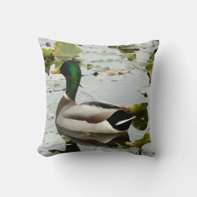Shining Mallard Duck Pillow (Front)