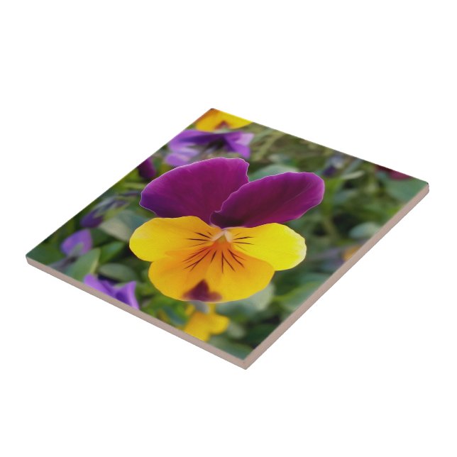 Shining pansies ceramic tile (Side)
