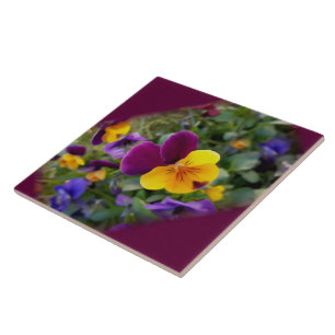 Shining pansies ceramic tile