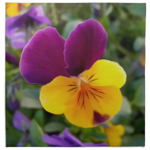 Shining pansies cloth napkin