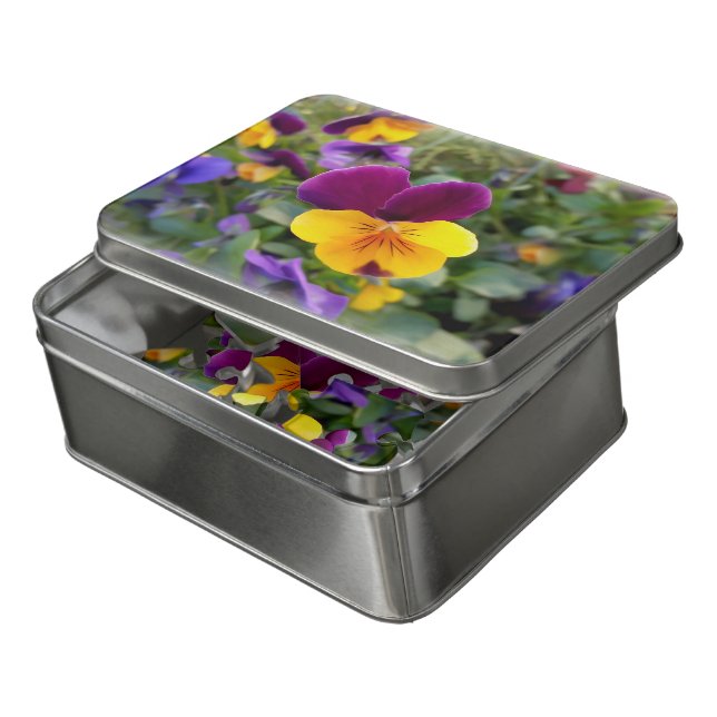 Shining pansies jigsaw puzzle (Lid Open)