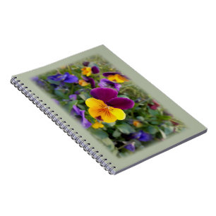 Shining pansies notebook