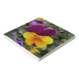 Shining pansies trivet
