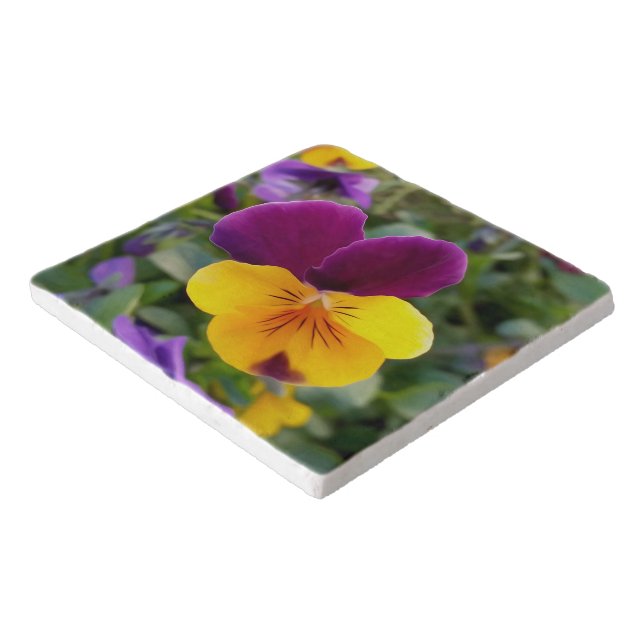 Shining pansies trivet (Corner)