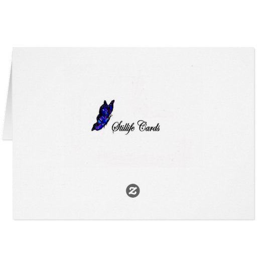 Shining Star (Back Horizontal)