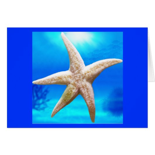 Shining Star Cards (Front Horizontal)