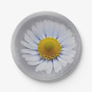 shining white daisy paper plates