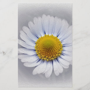 shining white daisy stationery