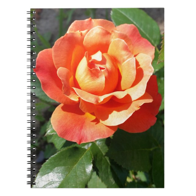 shining yellow rose notebook (Front)