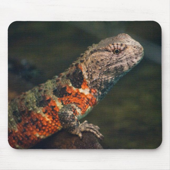 Shinisaurus crocodilurus mouse pad (Front)