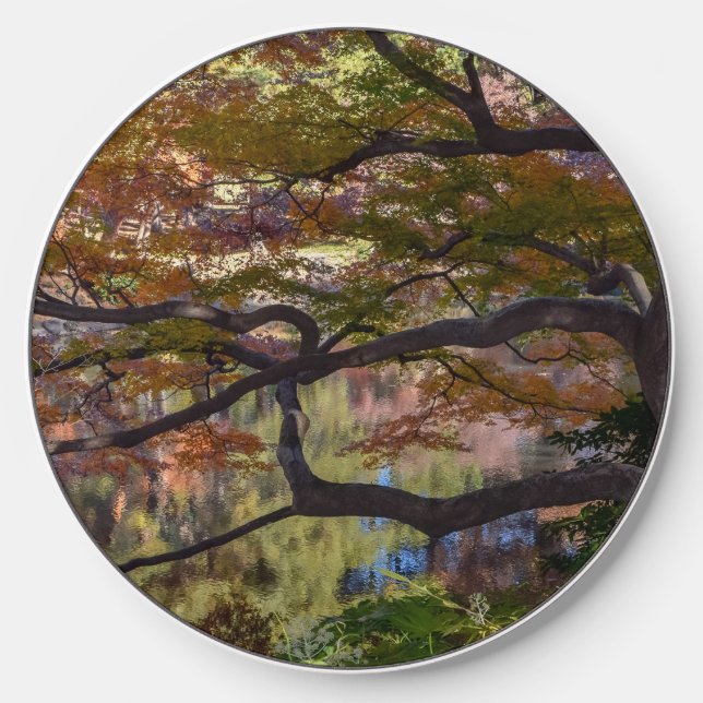 shinjuku park tree wireless charger  (Front)