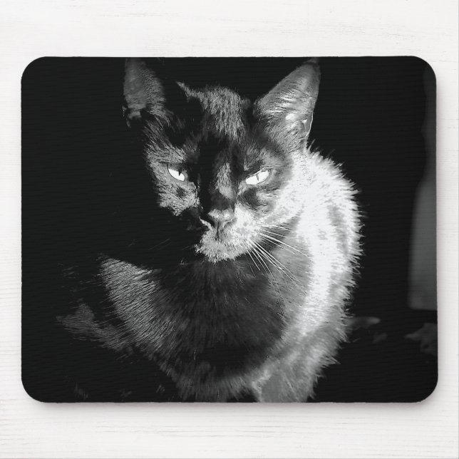 Shiny Black Cat Mouse Pad (Front)