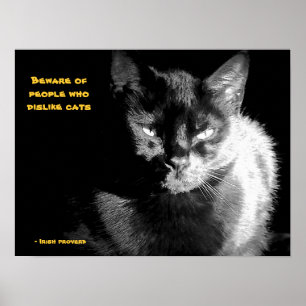 Shiny Black Cat with proverb Poster