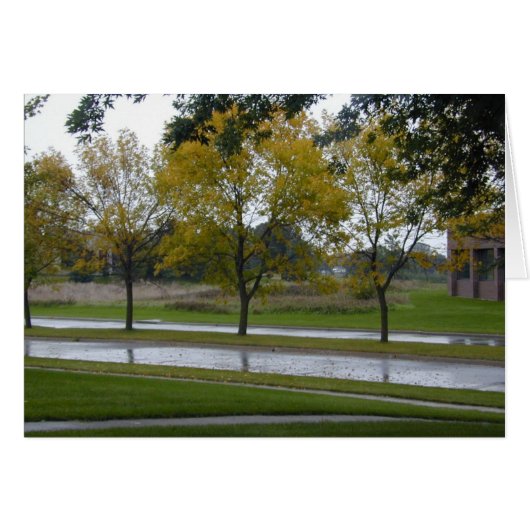 Shiny Boulevard card (Front Horizontal)