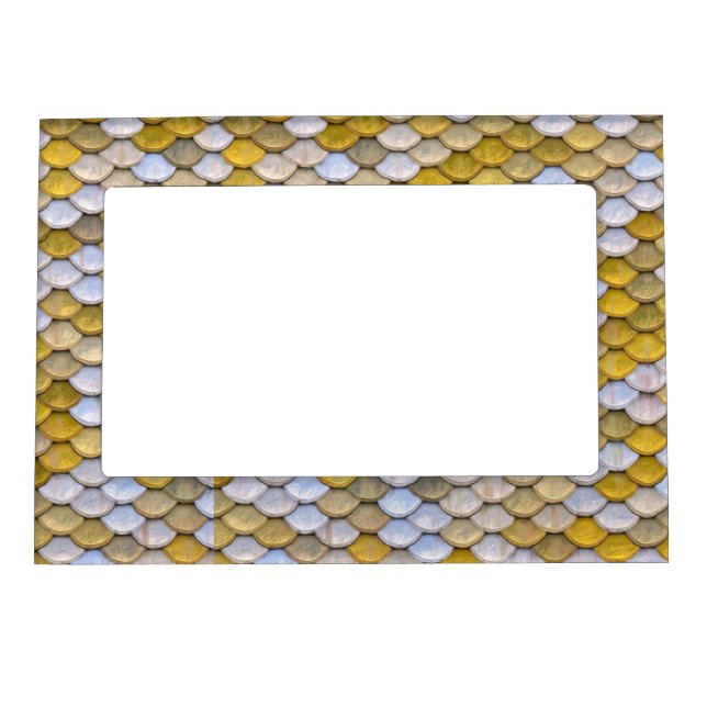 Shiny Fish Scales Effect Pattern Gold Silver Magnetic Frame (Front)