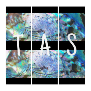 SHINY GREEN BLUE SILVER PĀUA ABALONE INITIALS TRIPTYCH