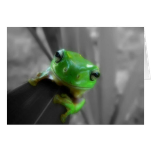 Shiny Green Frog Cards (Front Horizontal)