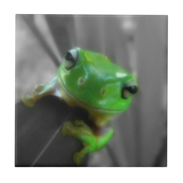 Shiny Green Frog Tile (Front)