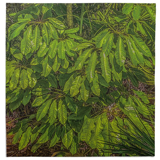 Shiny Leaves in Sunlight  Cloth Napkin (Front)