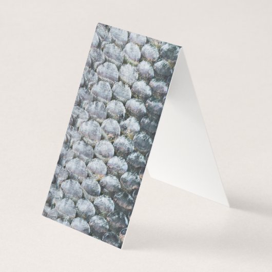 Shiny Salmon Scales (Front)