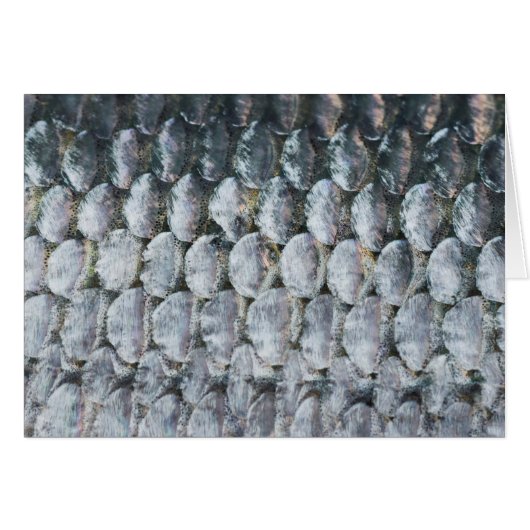 Shiny Salmon Scales Cards (Front Horizontal)