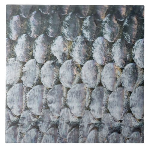 Shiny Salmon Scales Ceramic Tile