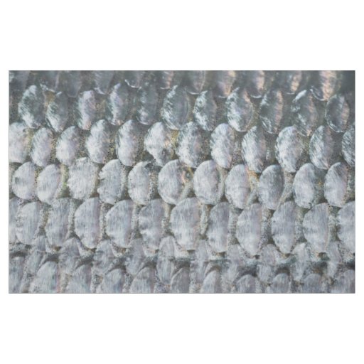 Shiny Salmon Scales Fabric