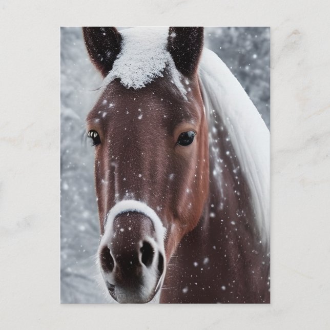Shiny Smooth Glass Look for Horse Holiday Postcard (Front)