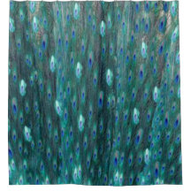 Shiny Teal Peacock Eyes