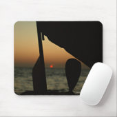 Ship Mouse Pad (With Mouse)
