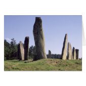 Ship setting (Front Horizontal)