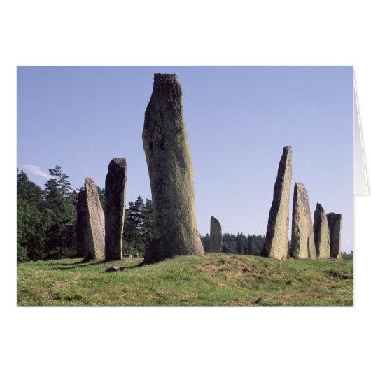 Ship setting (Front Horizontal)