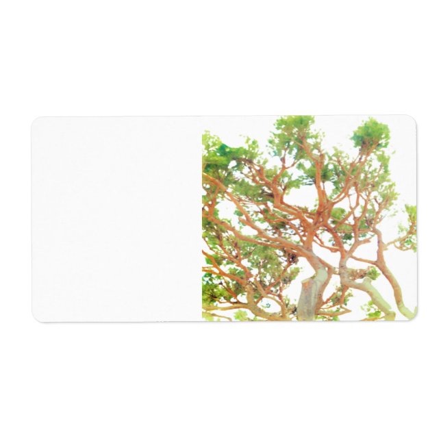 shipping Address Label (Front)